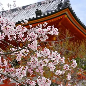 stay-sakura-kyoto-gion-north.hotels-in-kyoto.org/